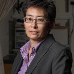 Lena Ting, professor in the Wallace H. Coulter Department of Biomedical Engineering at Georgia Tech and Emory, has been appointed the John and Jan Portman Professor in Biomedical Engineering.